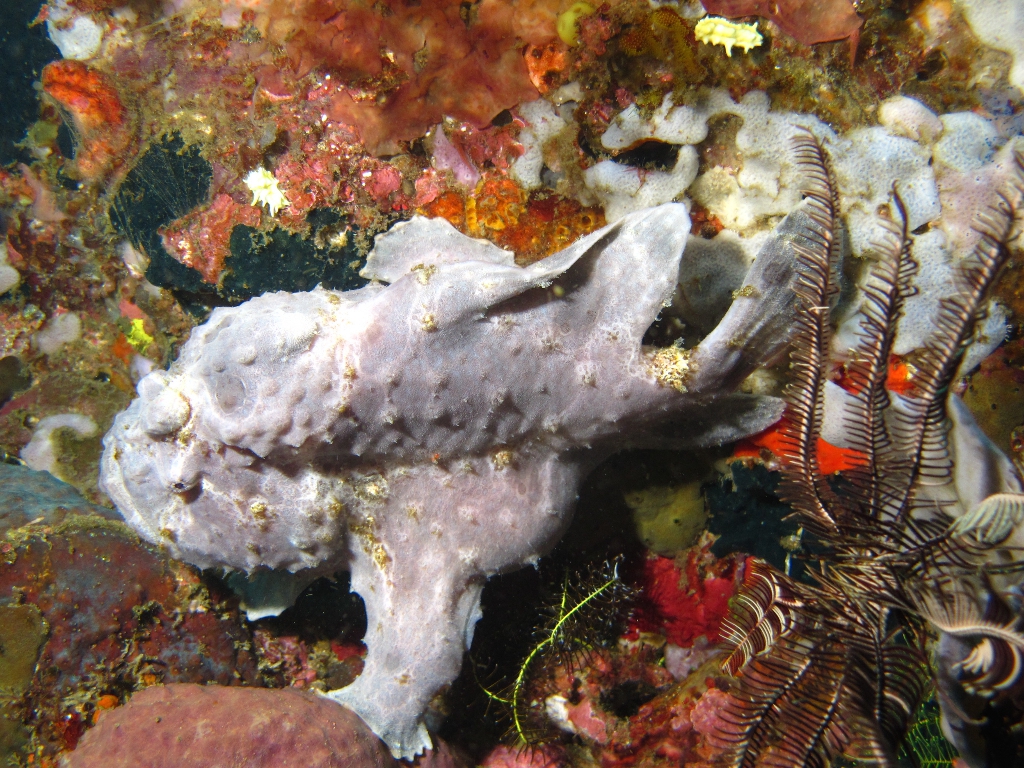 IMG_6714 (1) IMG_6714 (1)